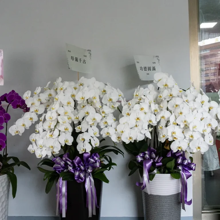 喪禮蘭花A 榛馨花藝版權所有