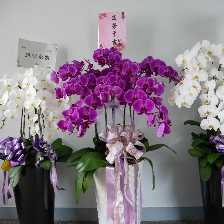 喪禮蘭花B 榛馨花藝版權所有