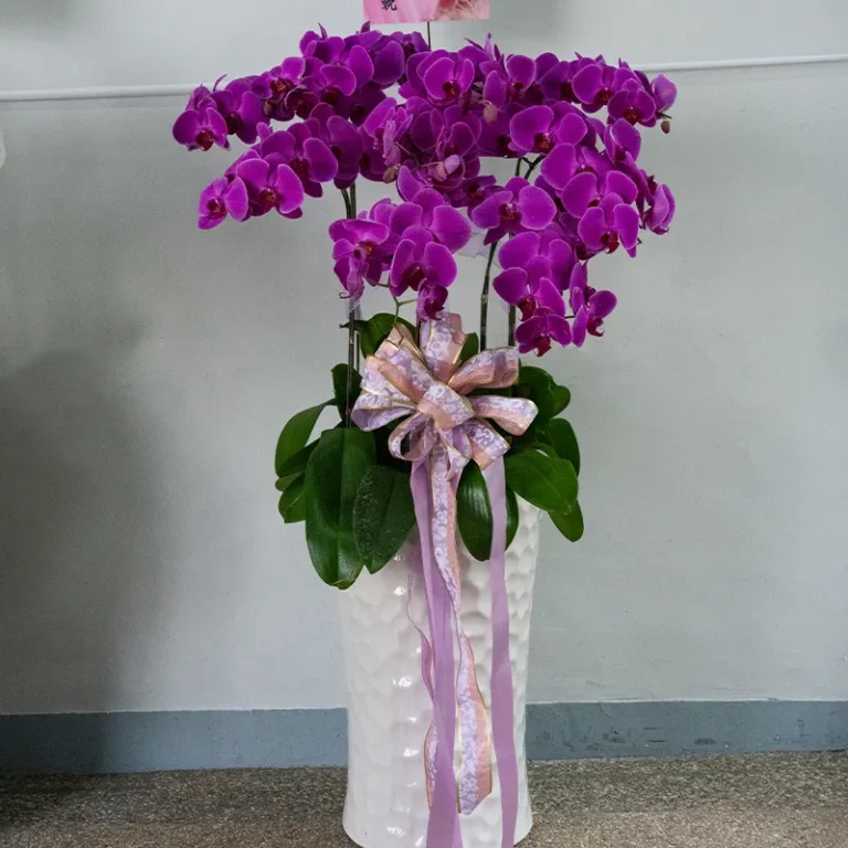 喪禮蘭花D 榛馨花藝版權所有