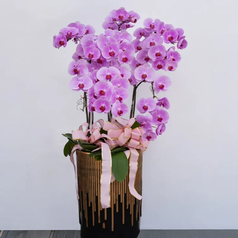 喪禮蘭花I 榛馨花藝版權所有