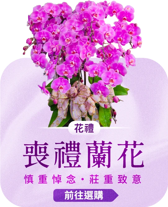 喪禮蘭花電腦版08 榛馨花藝版權所有.webp