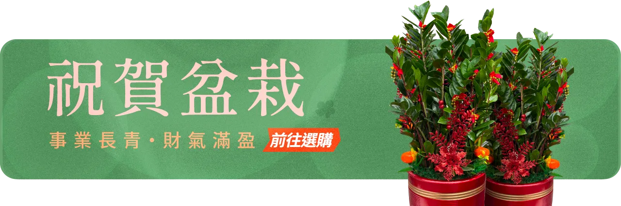 祝賀盆栽手機版08 榛馨花藝版權所有.webp