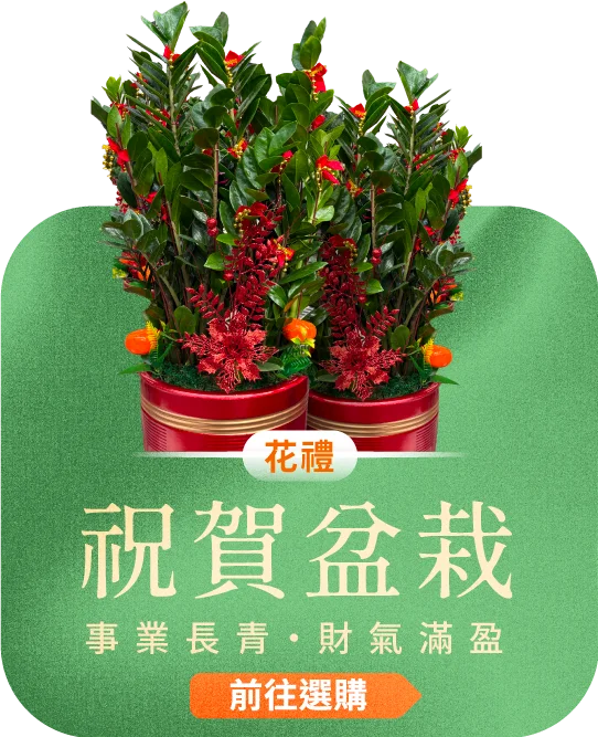祝賀盆栽電腦版06 榛馨花藝版權所有.webp