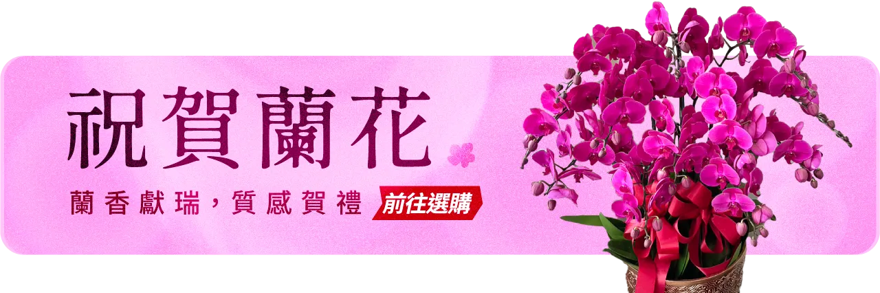 祝賀蘭花手機版02 榛馨花藝版權所有.webp