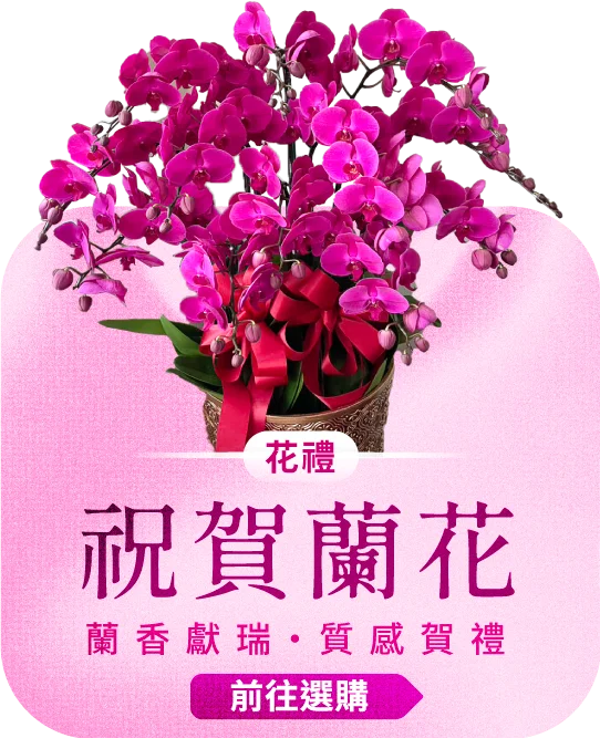 祝賀蘭花電腦版04 榛馨花藝版權所有.webp