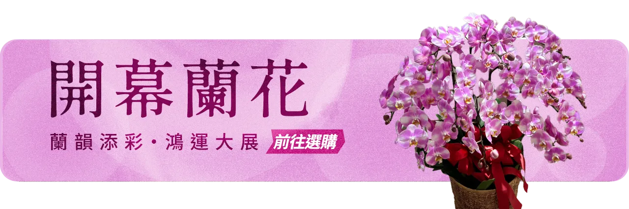 開幕蘭花手機版06 榛馨花藝版權所有.webp