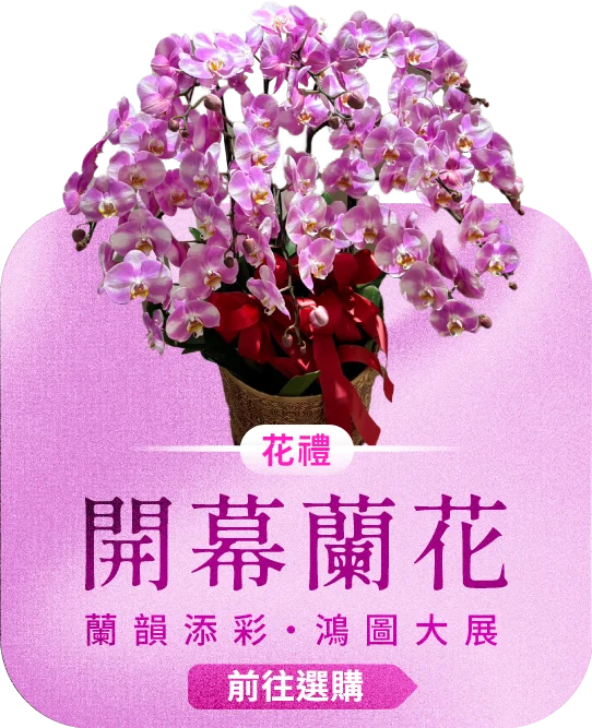 開幕蘭花電腦版05 榛馨花藝版權所有.webp